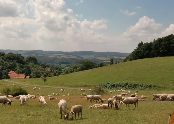 Alissa By Interhome * Bremke (Lippe)